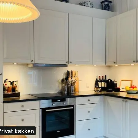 Apartmentincopenhagen Apartment 1471 דירה